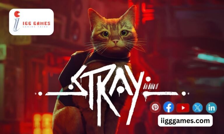 Stray Game